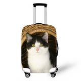 Cats Cover Travel Luggage