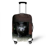 Cats Cover Travel Luggage