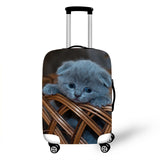 Cats Cover Travel Luggage