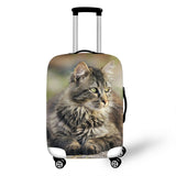 Cats Cover Travel Luggage