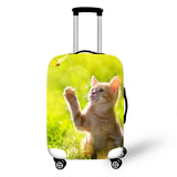 Cats Cover Travel Luggage