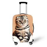 Cats Cover Travel Luggage