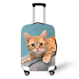 Cats Cover Travel Luggage