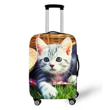 Dogs And Cats Cover Travel Luggage