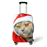 Dogs And Cats Cover Travel Luggage